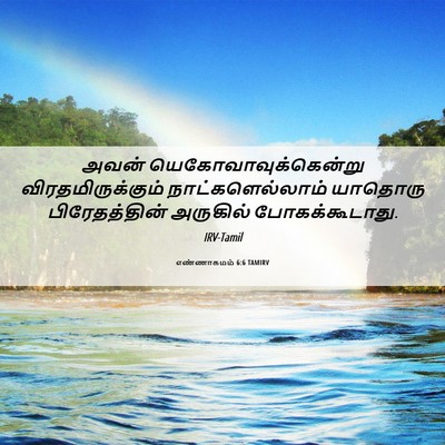 Picture 06 - எண்ணாகமம் 6:6 TAMIRV - அவன் - Bible Verse Picture