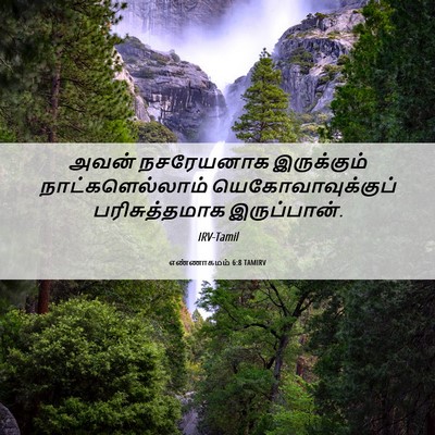Picture 06 - எண்ணாகமம் 6:8 TAMIRV - அவன் நசரேயனாக - Bible Verse Picture