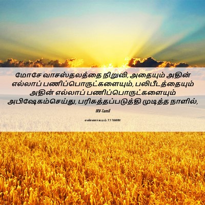 Picture 06 - எண்ணாகமம் 7:1 TAMIRV - மோசே வாசஸ்தலத்தை - Bible Verse Picture
