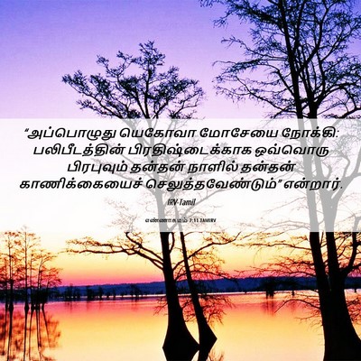 Picture 06 - எண்ணாகமம் 7:11 TAMIRV - “அப்பொழுது யெகோவா - Bible Verse Picture