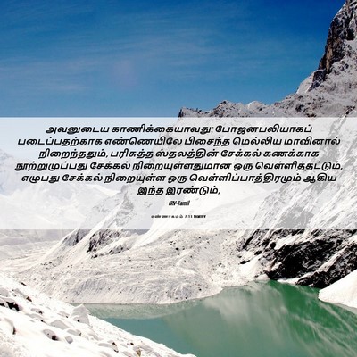 Picture 06 - எண்ணாகமம் 7:13 TAMIRV - அவனுடைய - Bible Verse Picture