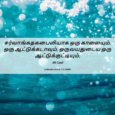 Picture 06 - எண்ணாகமம் 7:15 TAMIRV -  - Bible Verse Picture