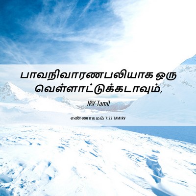Picture 06 - எண்ணாகமம் 7:22 TAMIRV - பாவநிவாரணபலியாக - Bible Verse Picture