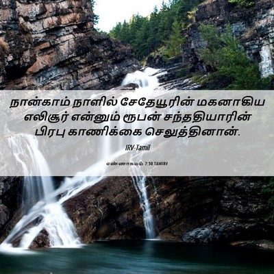Picture 06 - எண்ணாகமம் 7:30 TAMIRV - நான்காம் நாளில் - Bible Verse Picture