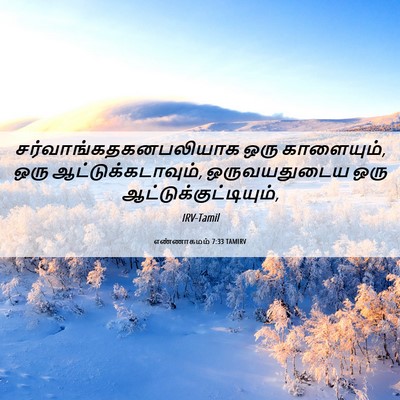 Picture 06 - எண்ணாகமம் 7:33 TAMIRV -  - Bible Verse Picture