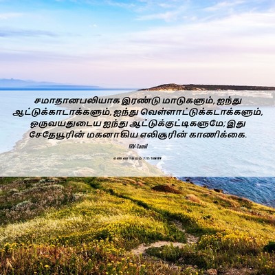 Picture 06 - எண்ணாகமம் 7:35 TAMIRV - சமாதானபலியாக - Bible Verse Picture