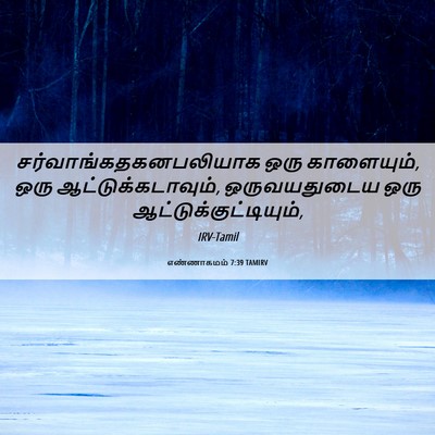 Picture 06 - எண்ணாகமம் 7:39 TAMIRV -  - Bible Verse Picture