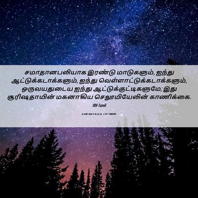 Picture 06 - எண்ணாகமம் 7:41 TAMIRV - சமாதானபலியாக - Bible Verse Picture