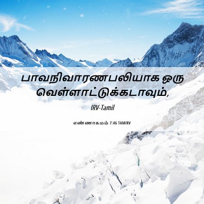 Picture 06 - எண்ணாகமம் 7:46 TAMIRV - பாவநிவாரணபலியாக - Bible Verse Picture