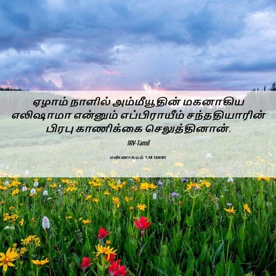 Picture 06 - எண்ணாகமம் 7:48 TAMIRV - ஏழாம் நாளில் - Bible Verse Picture