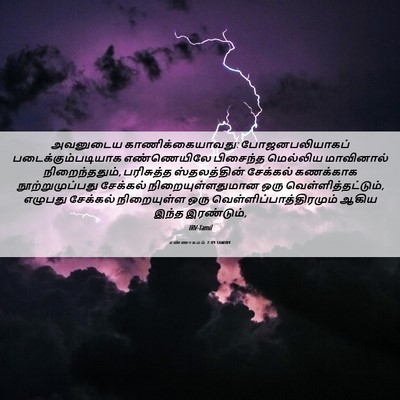 Picture 06 - எண்ணாகமம் 7:49 TAMIRV - அவனுடைய - Bible Verse Picture