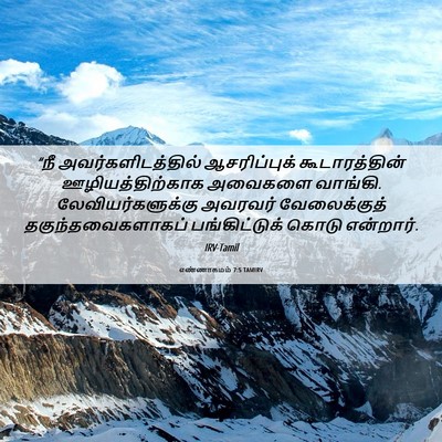 Picture 06 - எண்ணாகமம் 7:5 TAMIRV - “நீ - Bible Verse Picture