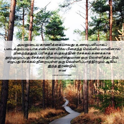 Picture 06 - எண்ணாகமம் 7:55 TAMIRV - அவனுடைய - Bible Verse Picture