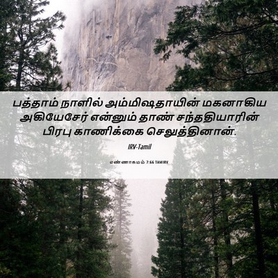 Picture 06 - எண்ணாகமம் 7:66 TAMIRV - பத்தாம் நாளில் - Bible Verse Picture