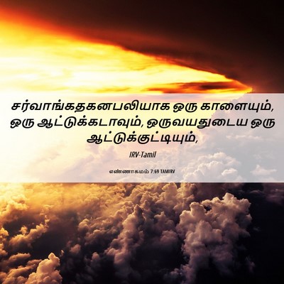 Picture 06 - எண்ணாகமம் 7:69 TAMIRV -  - Bible Verse Picture