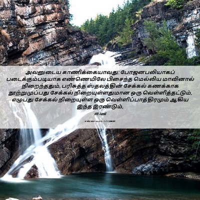 Picture 06 - எண்ணாகமம் 7:73 TAMIRV - அவனுடைய - Bible Verse Picture