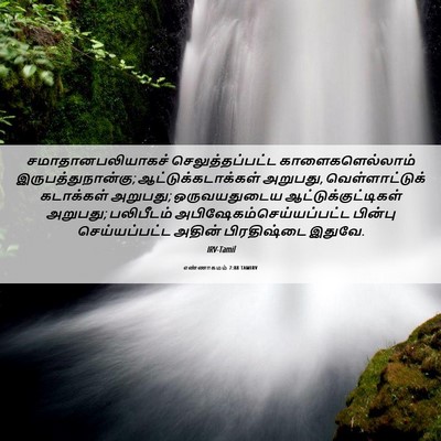 Picture 06 - எண்ணாகமம் 7:88 TAMIRV - சமாதானபலியாகச் - Bible Verse Picture