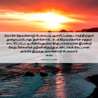 Picture 06 - எண்ணாகமம் 7:89 TAMIRV - மோசே தேவனோடு - Bible Verse Picture