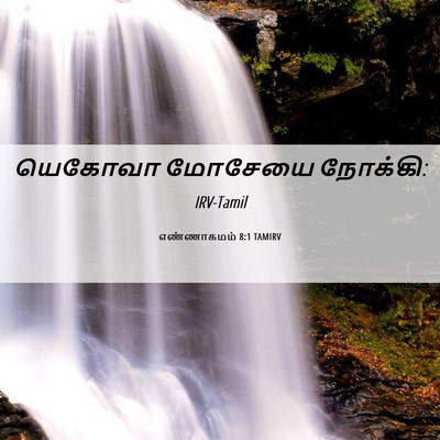 Picture 06 - எண்ணாகமம் 8:1 TAMIRV - யெகோவா மோசேயை - Bible Verse Picture