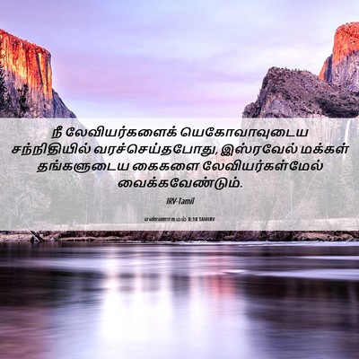 Picture 06 - எண்ணாகமம் 8:10 TAMIRV - நீ லேவியர்களைக் - Bible Verse Picture