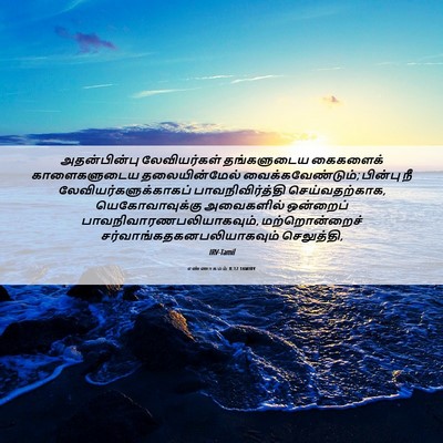 Picture 06 - எண்ணாகமம் 8:12 TAMIRV - அதன்பின்பு - Bible Verse Picture