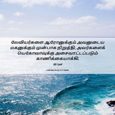 Picture 06 - எண்ணாகமம் 8:13 TAMIRV - லேவியர்களை - Bible Verse Picture