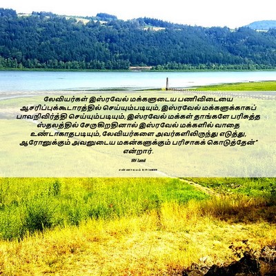 Picture 06 - எண்ணாகமம் 8:19 TAMIRV - லேவியர்கள் - Bible Verse Picture