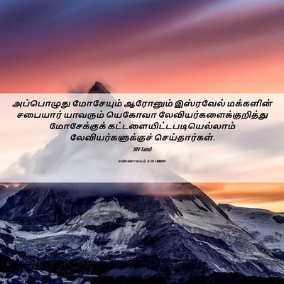 Picture 06 - எண்ணாகமம் 8:20 TAMIRV - அப்பொழுது - Bible Verse Picture