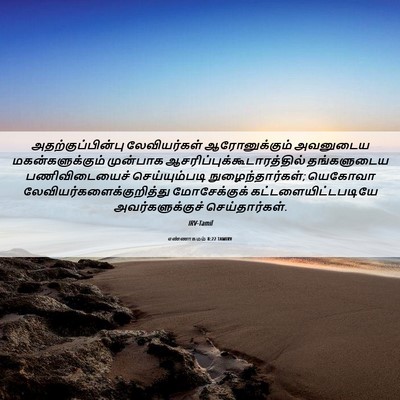 Picture 06 - எண்ணாகமம் 8:22 TAMIRV - அதற்குப்பின்பு - Bible Verse Picture