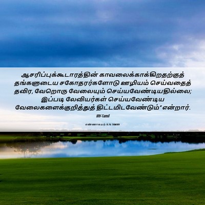 Picture 06 - எண்ணாகமம் 8:26 TAMIRV -  - Bible Verse Picture