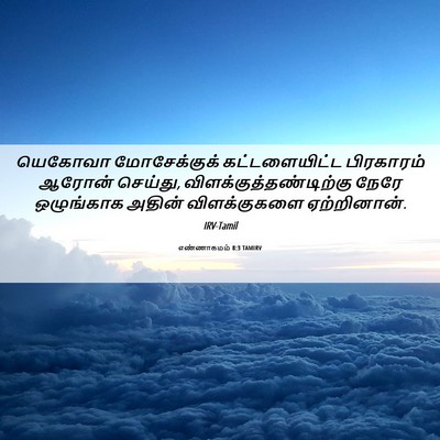 Picture 06 - எண்ணாகமம் 8:3 TAMIRV - யெகோவா மோசேக்குக் - Bible Verse Picture