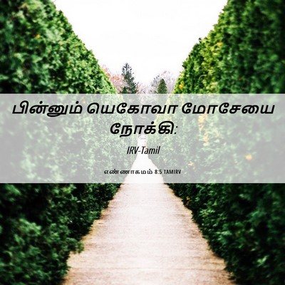 Picture 06 - எண்ணாகமம் 8:5 TAMIRV - பின்னும் யெகோவா - Bible Verse Picture