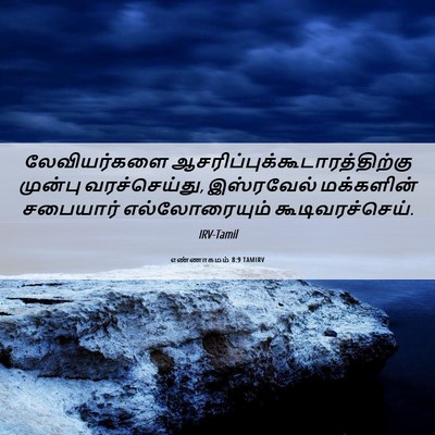 Picture 06 - எண்ணாகமம் 8:9 TAMIRV - லேவியர்களை - Bible Verse Picture