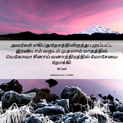 Picture 06 - எண்ணாகமம் 9:1 TAMIRV - அவர்கள் - Bible Verse Picture