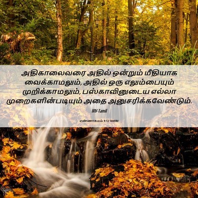 Picture 06 - எண்ணாகமம் 9:12 TAMIRV - அதிகாலைவரை அதில் - Bible Verse Picture