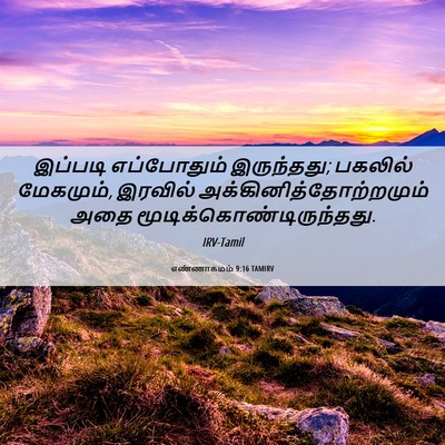 Picture 06 - எண்ணாகமம் 9:16 TAMIRV - இப்படி எப்போதும் - Bible Verse Picture