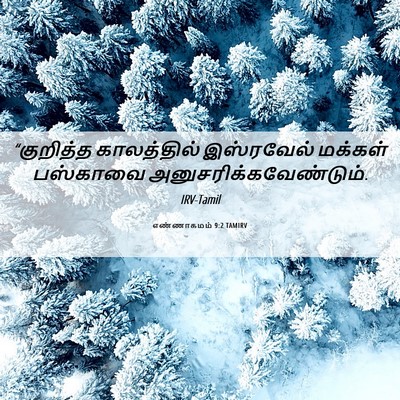 Picture 06 - எண்ணாகமம் 9:2 TAMIRV - “குறித்த - Bible Verse Picture