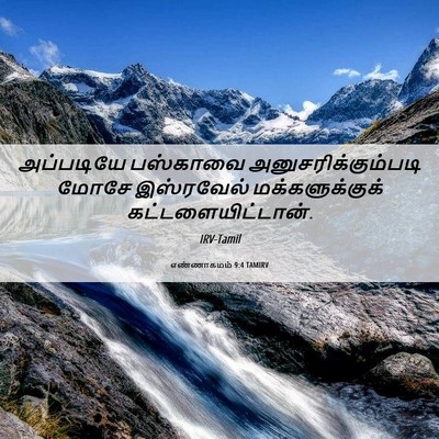 Picture 06 - எண்ணாகமம் 9:4 TAMIRV - அப்படியே பஸ்காவை - Bible Verse Picture