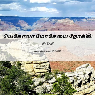 Picture 06 - எண்ணாகமம் 9:9 TAMIRV - யெகோவா மோசேயை - Bible Verse Picture