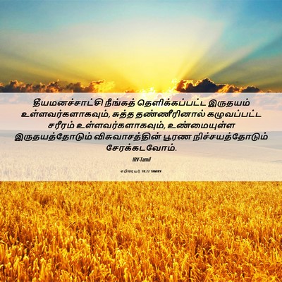 Picture 06 - எபிரெயர் 10:22 TAMIRV - தீயமனச்சாட்சி - Bible Verse Picture