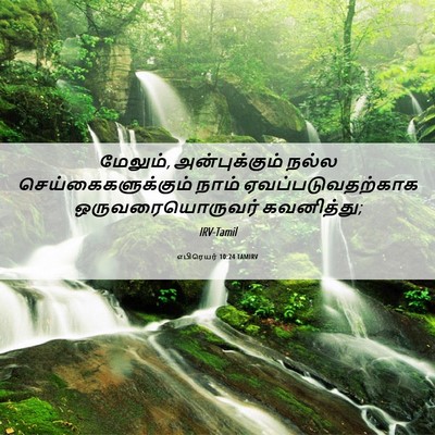 Picture 06 - எபிரெயர் 10:24 TAMIRV - மேலும், - Bible Verse Picture
