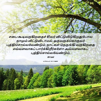 Picture 06 - எபிரெயர் 10:25 TAMIRV - சபை - Bible Verse Picture