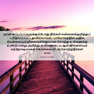 Picture 06 - எபிரெயர் 10:34 TAMIRV - நான் - Bible Verse Picture