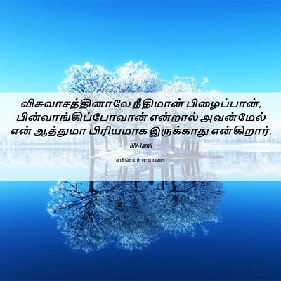 Picture 06 - எபிரெயர் 10:38 TAMIRV - விசுவாசத்தினாலே - Bible Verse Picture