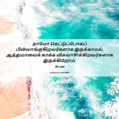 Picture 06 - எபிரெயர் 10:39 TAMIRV - நாமோ - Bible Verse Picture