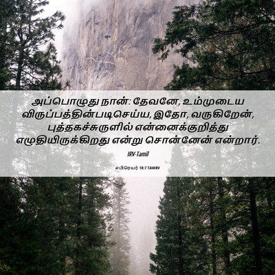 Picture 06 - எபிரெயர் 10:7 TAMIRV - அப்பொழுது நான்: - Bible Verse Picture
