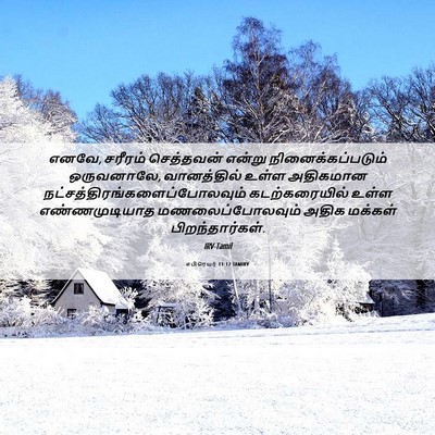 Picture 06 - எபிரெயர் 11:12 TAMIRV - எனவே, சரீரம் - Bible Verse Picture