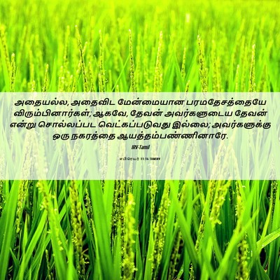Picture 06 - எபிரெயர் 11:16 TAMIRV - அதையல்ல, அதைவிட - Bible Verse Picture