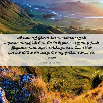 Picture 06 - எபிரெயர் 11:21 TAMIRV - விசுவாசத்தினாலே - Bible Verse Picture