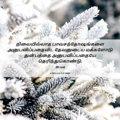 Picture 06 - எபிரெயர் 11:25 TAMIRV - நிலையில்லாத - Bible Verse Picture